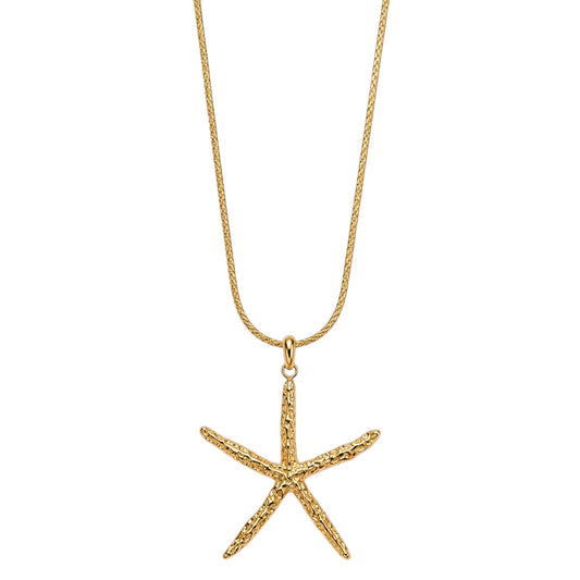 Anzora Jewel Coral Star necklace featuring a textured gold-toned starfish pendant on a delicate matching chain.